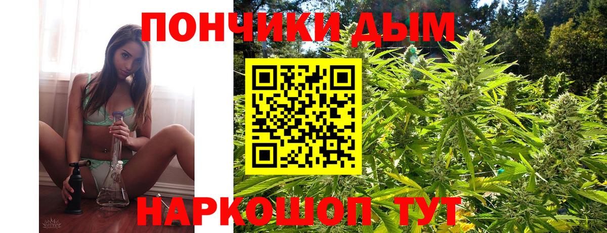Бошки марихуана конопля Вольск